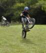 dsc_0460large_small.jpg