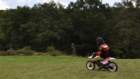 dsc_0466large_small.jpg