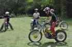 dsc_0488large_small.jpg