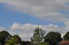 dsc_0516large_small.jpg