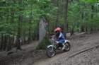 dsc_0523large_small.jpg