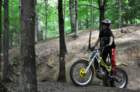 dsc_0544large_small.jpg
