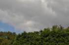 dsc_0605large_small.jpg