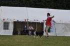 dsc_0628large_small.jpg