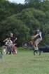 dsc_0684large_small.jpg