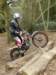picture248_small.jpg