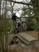 picture280_small.jpg