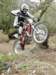 picture345_small.jpg