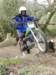 picture350_small.jpg