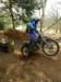 picture389_small.jpg