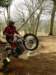 picture392_small.jpg