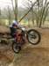 picture398_small.jpg