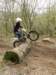 picture457_small.jpg