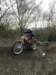 picture489_small.jpg