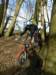 picture504_small.jpg