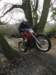 picture514_small.jpg