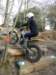 picture525_small.jpg