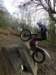 picture535_small.jpg